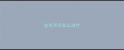 金毛耳炎怎么治疗