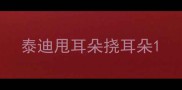 泰迪甩耳朵挠耳朵