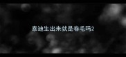 泰迪生出来就是卷毛吗