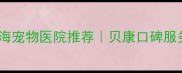 上海宠物医院推荐贝康口碑服务