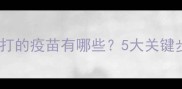 捡到流浪狗后必须打的疫苗有哪些5大关键步骤和注意事项全