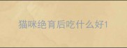 猫咪绝育后吃什么好