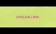 拉布拉多身上很痒