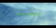 成都火车站宠物托运