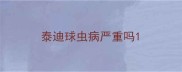 泰迪球虫病严重吗