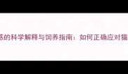 猫咪对红色敏感的科学解释与饲养指南如何正确应对猫咪的视觉反应