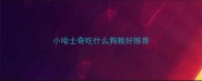 小哈士奇吃什么狗粮好推荐