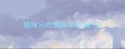 猫咪只吃猫粮不吃罐头