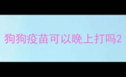 狗狗疫苗可以晚上打吗