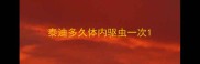 泰迪多久体内驱虫一次