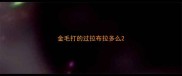 金毛打的过拉布拉多么