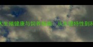 拉布拉多犬生殖健康与饲养指南从生理特性到科学护理全