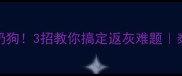 灰泰迪变回粉嫩小奶狗3招教你搞定返灰难题泰迪褪毛期护理全攻略