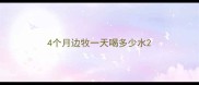 4个月边牧一天喝多少水