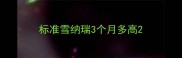 标准雪纳瑞3个月多高