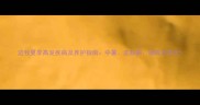 边牧夏季高发疾病及养护指南中暑皮肤病肠胃炎等全