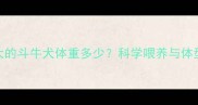两个月大的斗牛犬体重多少科学喂养与体型发育全