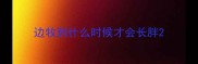 边牧到什么时候才会长胖