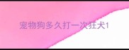 宠物狗多久打一次狂犬