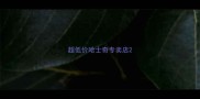 超低价哈士奇专卖店