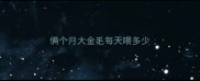 俩个月大金毛每天喂多少