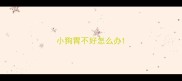 小狗胃不好怎么办