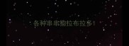 各种串串狗拉布拉多