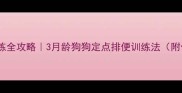 幼犬如厕训练全攻略3月龄狗狗定点排便训练法附保姆级教程