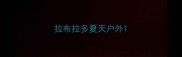 拉布拉多夏天户外