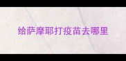给萨摩耶打疫苗去哪里