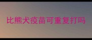 比熊犬疫苗可重复打吗