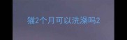 猫2个月可以洗澡吗