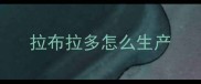 拉布拉多怎么生产