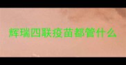 辉瑞四联疫苗都管什么