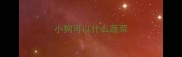 小狗可以什么蔬菜