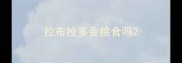拉布拉多会挑食吗