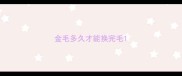 金毛多久才能换完毛