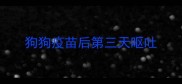 狗狗疫苗后第三天呕吐