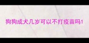 狗狗成犬几岁可以不打疫苗吗