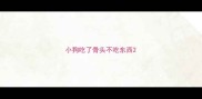 小狗吃了骨头不吃东西