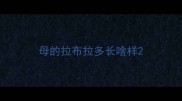 母的拉布拉多长啥样