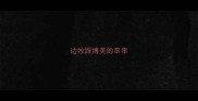 边牧跟博美的串串
