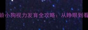 新手必看1-3月龄小狗视力发育全攻略从睁眼到看清世界的时间表