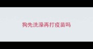 狗先洗澡再打疫苗吗