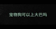 宠物狗可以上大巴吗