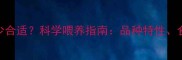 哈士奇每日食量多少合适科学喂养指南品种特性食量计算及健康建议