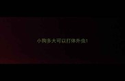 小狗多大可以打体外虫