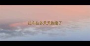拉布拉多天天跑瘦了