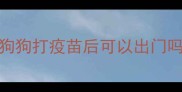 狗狗打疫苗后可以出门吗
