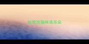 经常给猫咪清耳朵